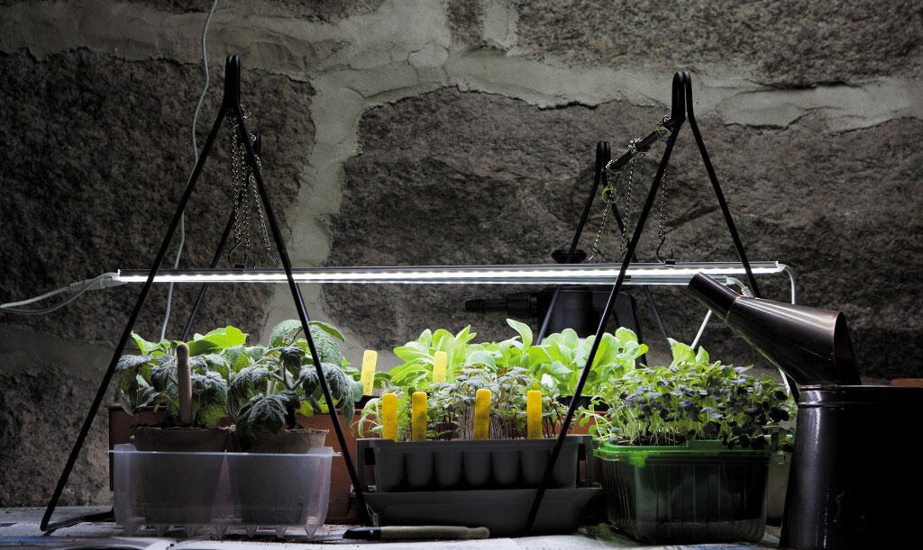 Nelson_Garden_ Grow lights_image_6.jpg