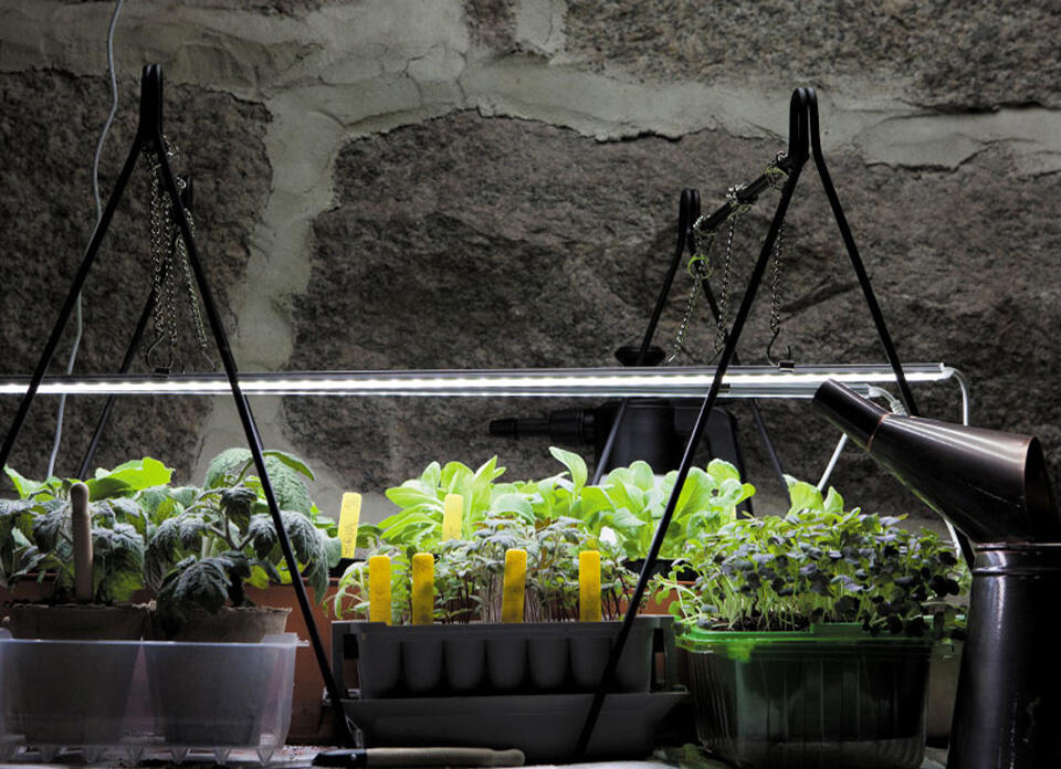 Nelson garden led discount