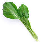 nelson_garden_cabbage_varieties_the_best_way_to_eat_them_2.jpeg