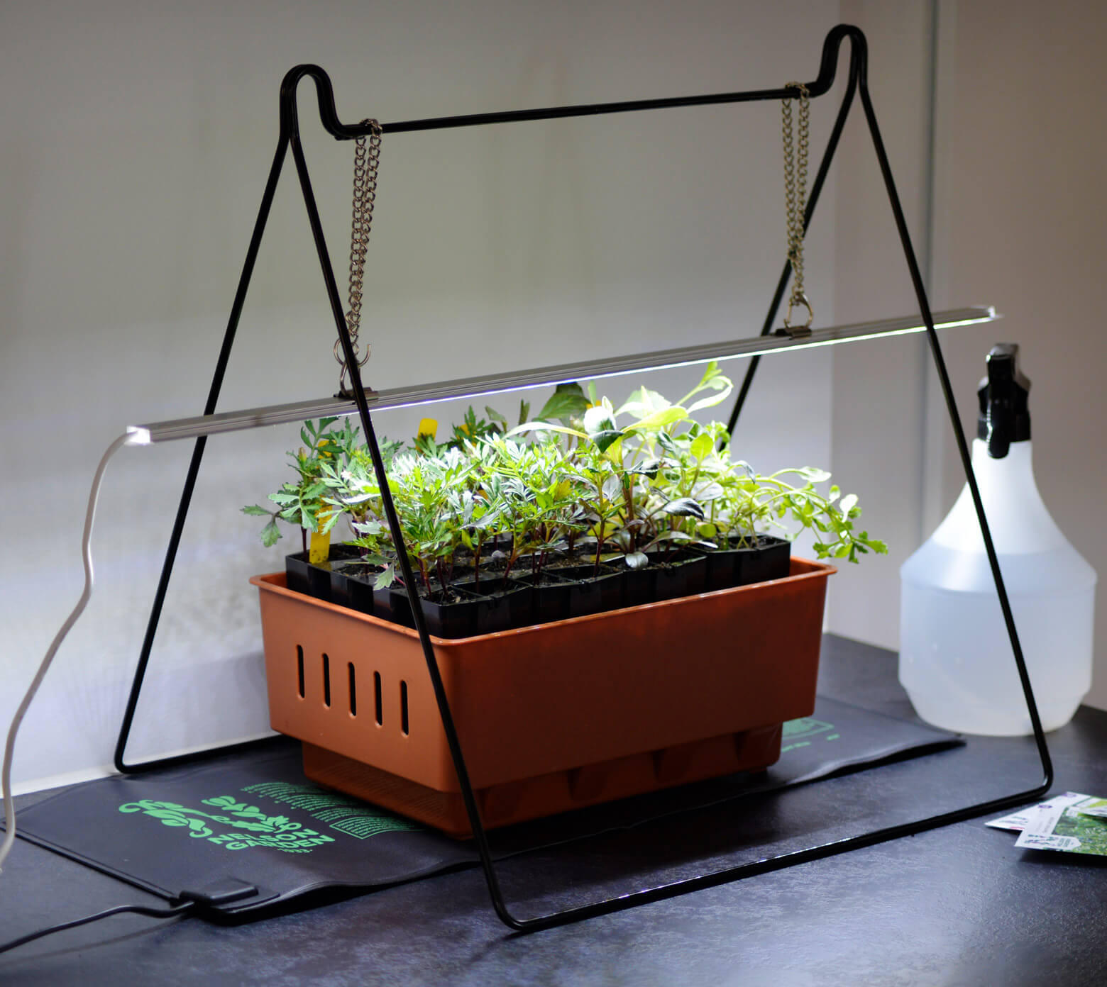 How to Choose a Grow Light