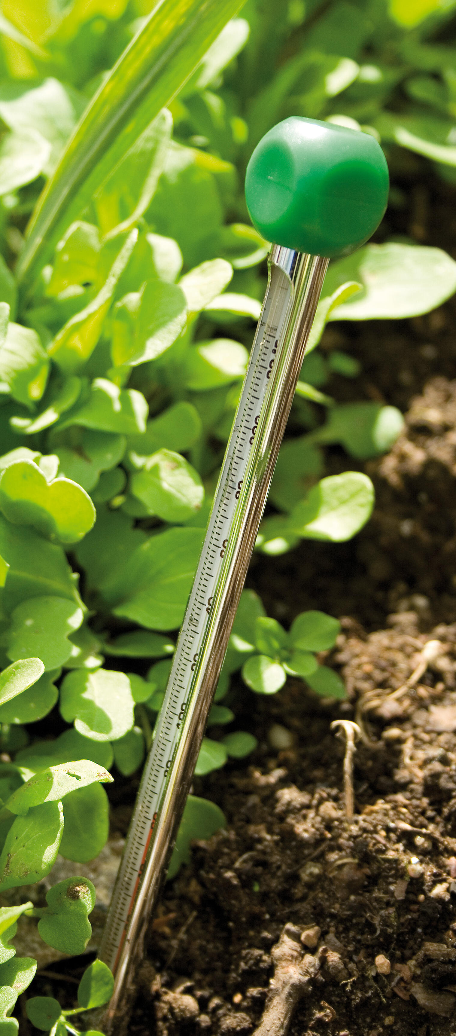 Soil thermometer