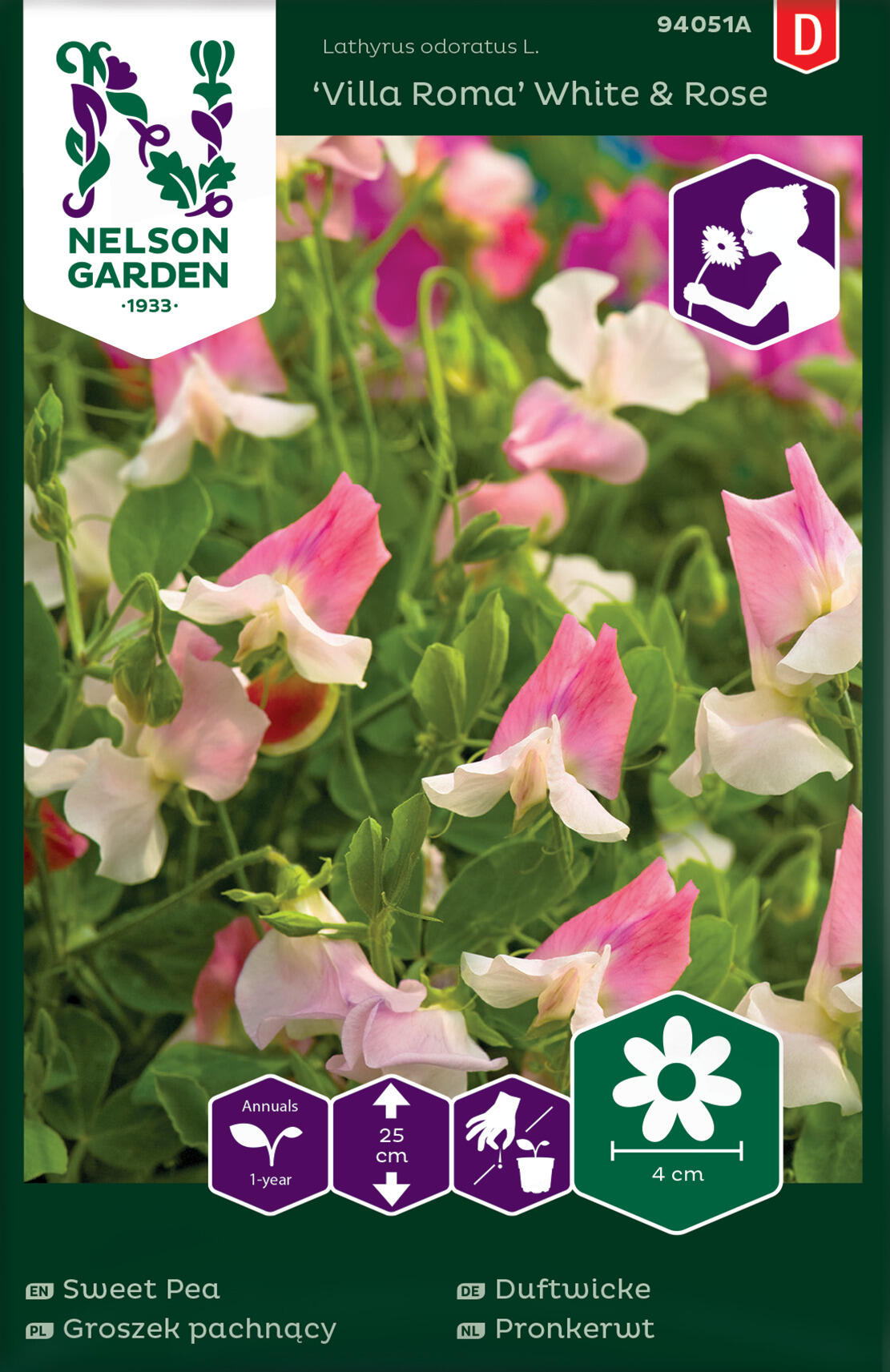 Hurtigt Macadam Orator Sweet Pea 'Villa Roma' White & Rose | Nelson Garden